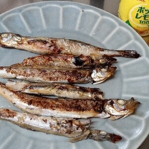 定番朝食 ししゃものグリル焼き レシピ 作り方 By ひろりん1106 楽天レシピ 定番朝食 ししゃものグリル焼き レシピ 作り方 By ひろりん1106 楽天レシピ